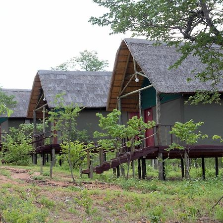 Lion Roars Lodge Lesoma Exterior photo