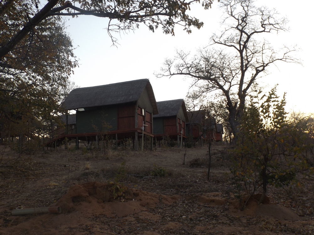 Lion Roars Lodge Lesoma Exterior photo