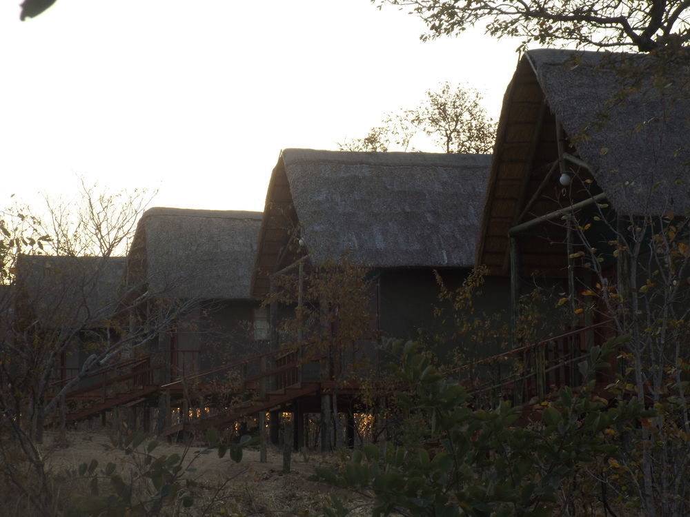 Lion Roars Lodge Lesoma Exterior photo