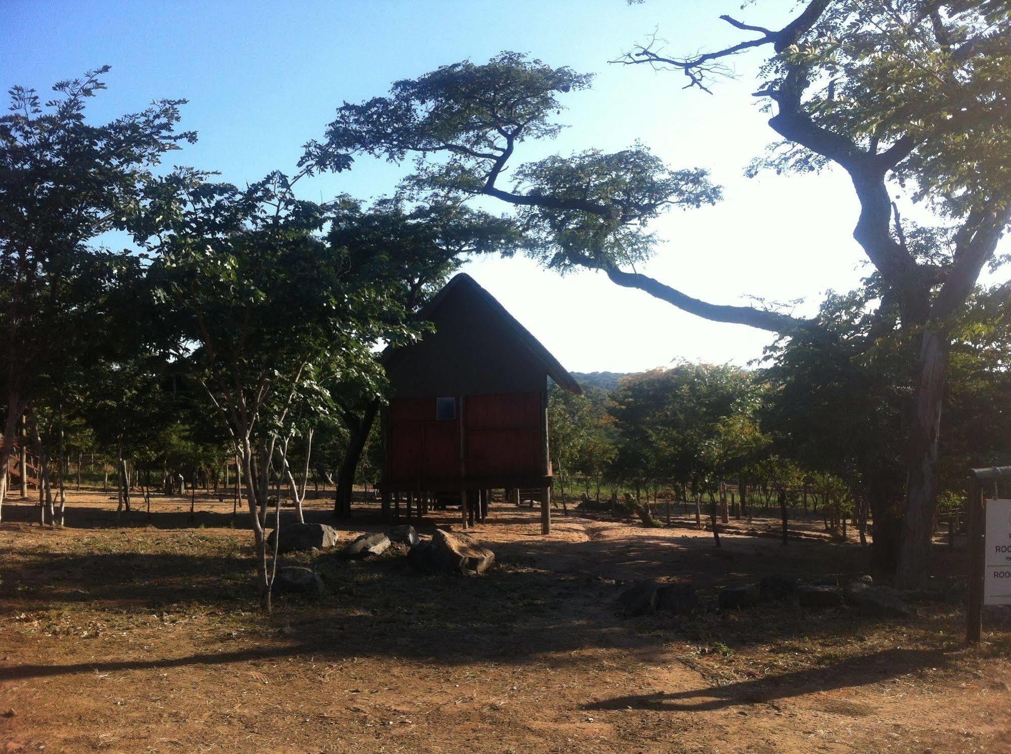 Lion Roars Lodge Lesoma Exterior photo