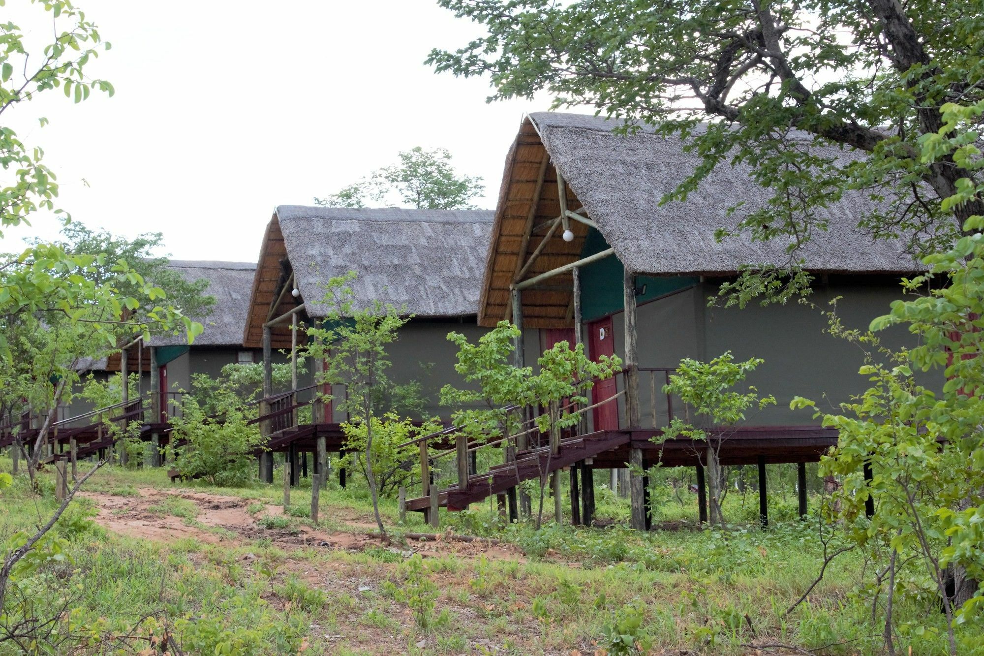 Lion Roars Lodge Lesoma Exterior photo