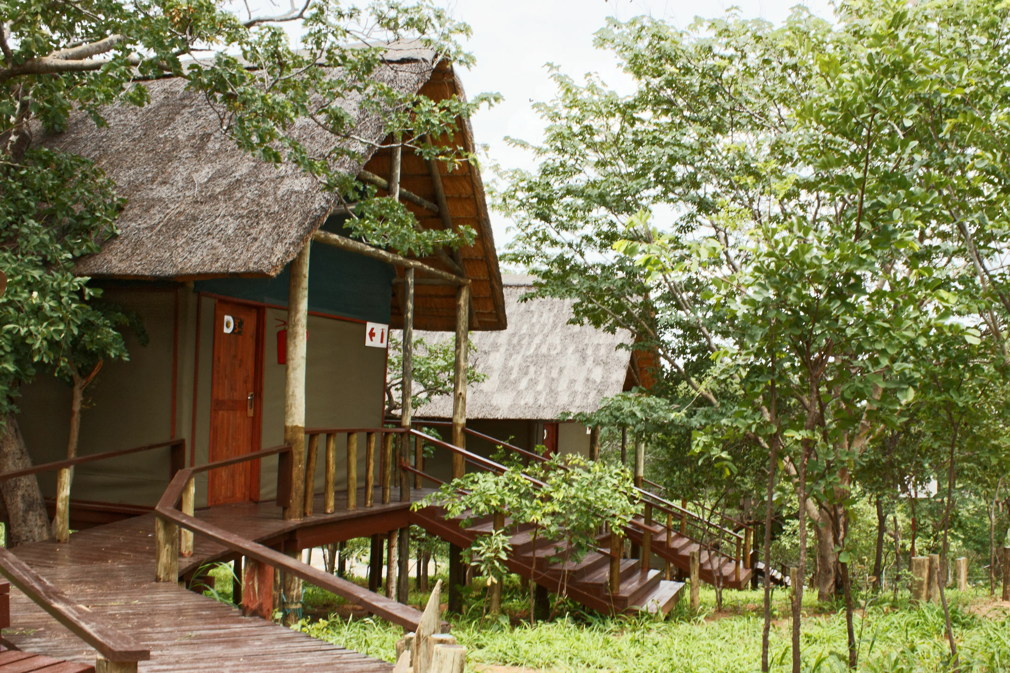 Lion Roars Lodge Lesoma Exterior photo